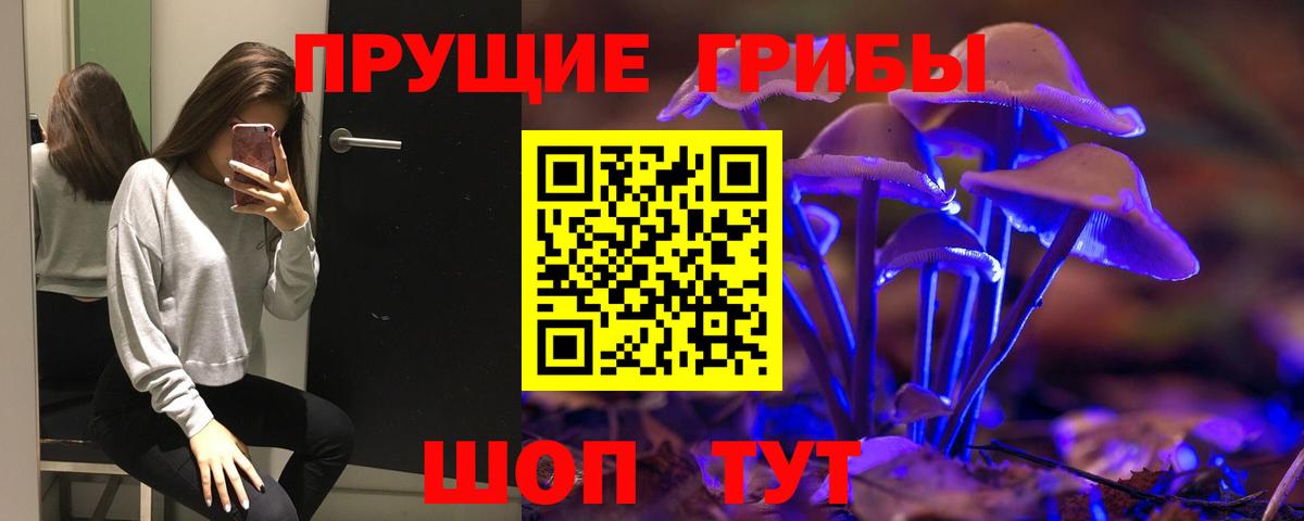 Малгобек  Галлюциногенные грибы GOLDEN TEACHER  Вход с VPN  Псилоцибиновые грибы ЛСД 